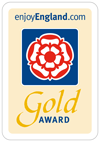 gold award