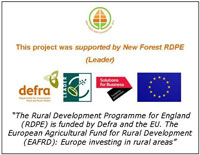 New Forest RPDE