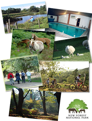 Pyesmead farm photo collage