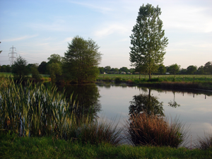 Fishing lake at Pyesmead Farm